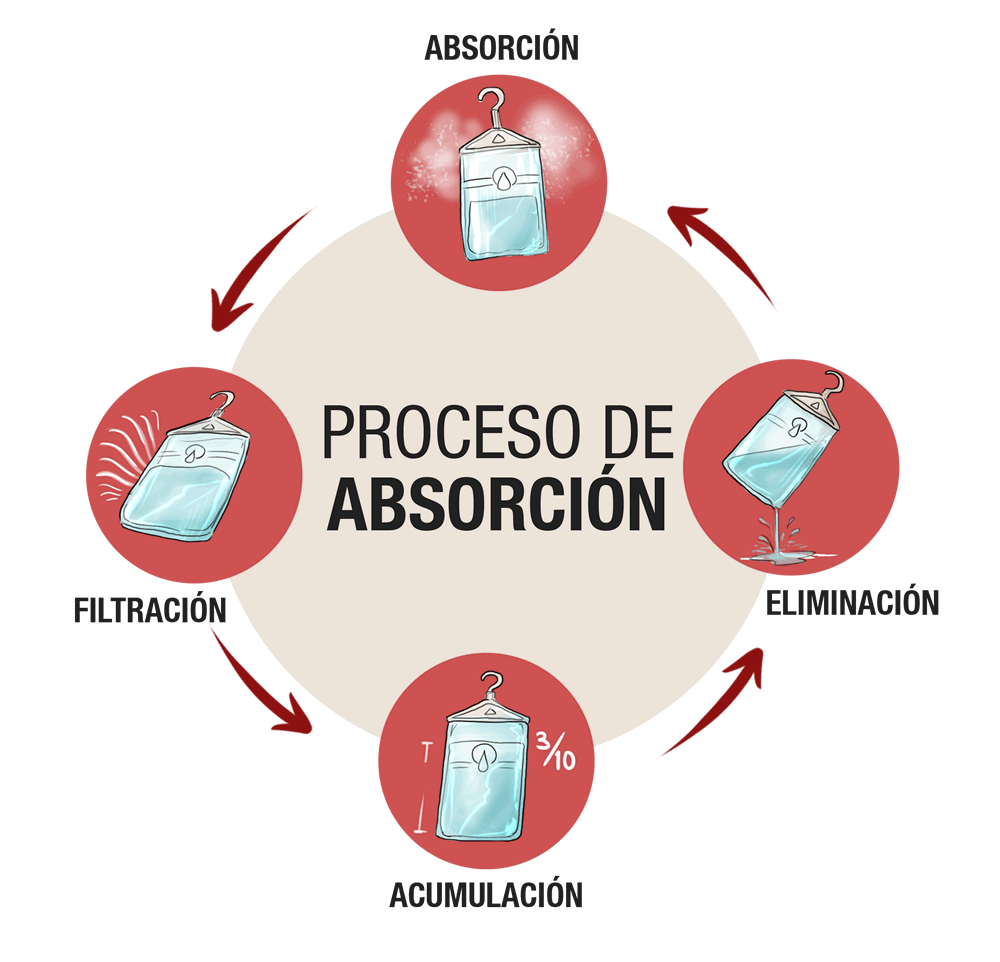 ciclo bolsa absorbente - Jamar