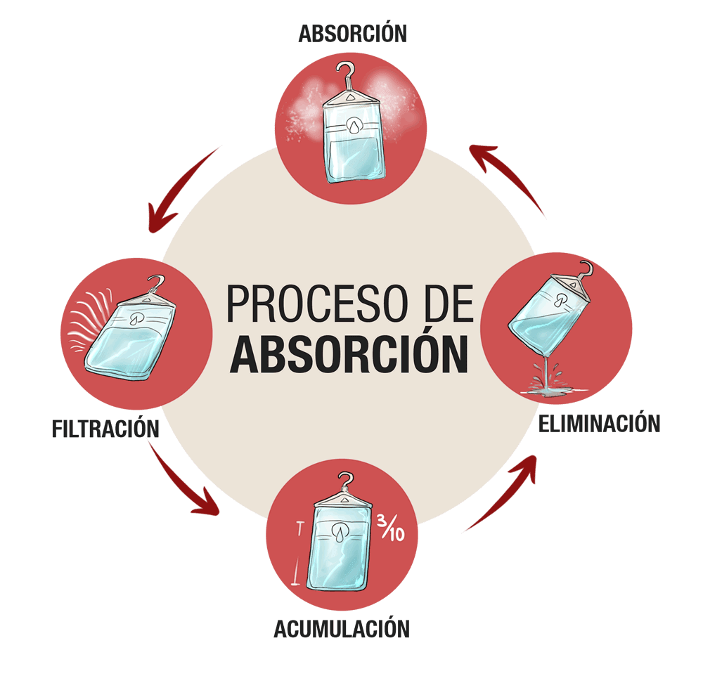 ciclo bolsa absorbente - Jamar